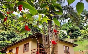 Sitio dos Palmitos - Casa Pupunha